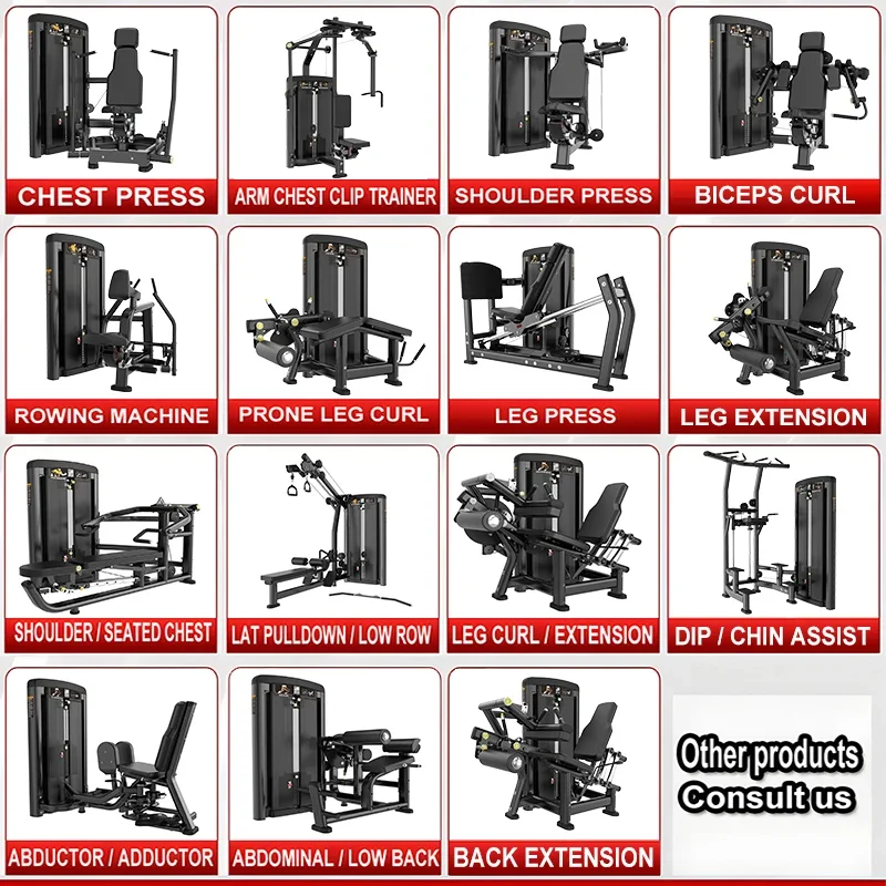 브라이트웨이 스포츠 장비 헬스장 보디빌딩 머신 이중 기 - Sports Equipment Factory 리뷰 및 가격